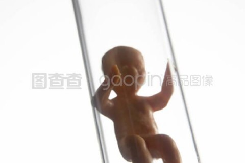 http://haerbin.nbgk120.com/post/206.html|哈尔滨新闻中心