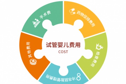 哈尔滨捐卵宝宝肚痛，父母该怎么办？